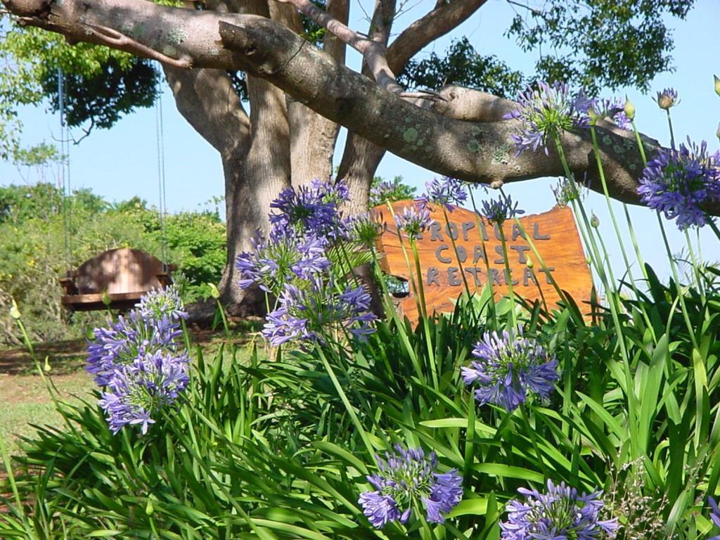 בית הארחה קינגסקליף 	Tropical Coast Retreat - Pet Friendly - Adult Only מראה חיצוני תמונה
