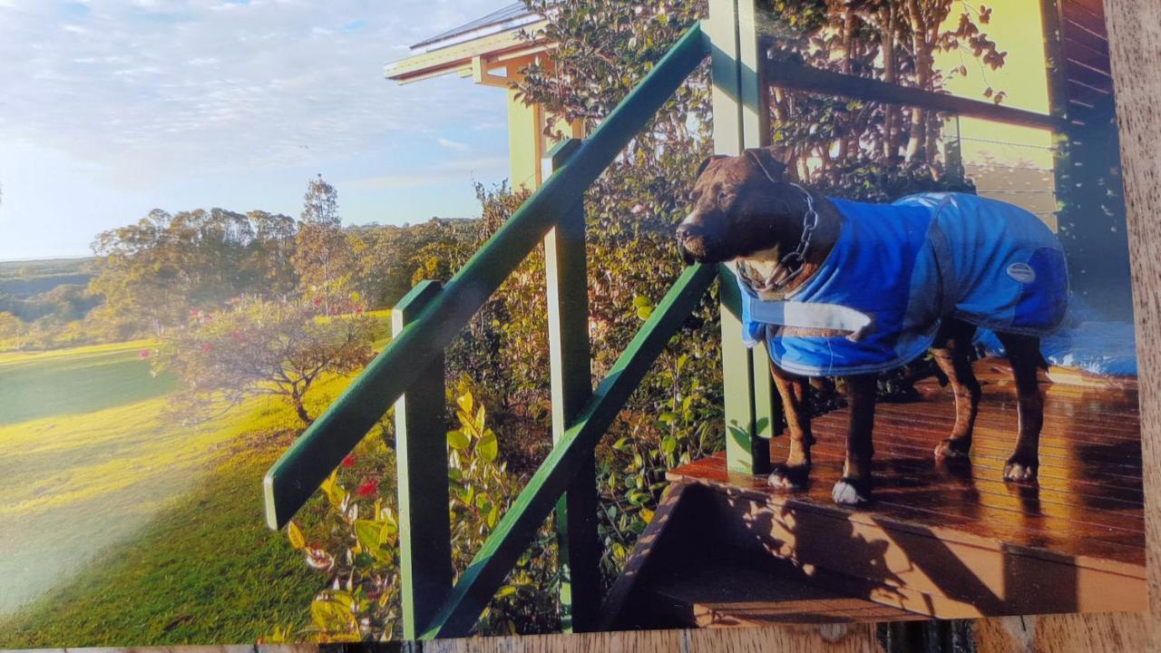 בית הארחה קינגסקליף 	Tropical Coast Retreat - Pet Friendly - Adult Only מראה חיצוני תמונה