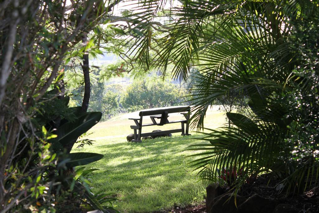 בית הארחה קינגסקליף 	Tropical Coast Retreat - Pet Friendly - Adult Only מראה חיצוני תמונה
