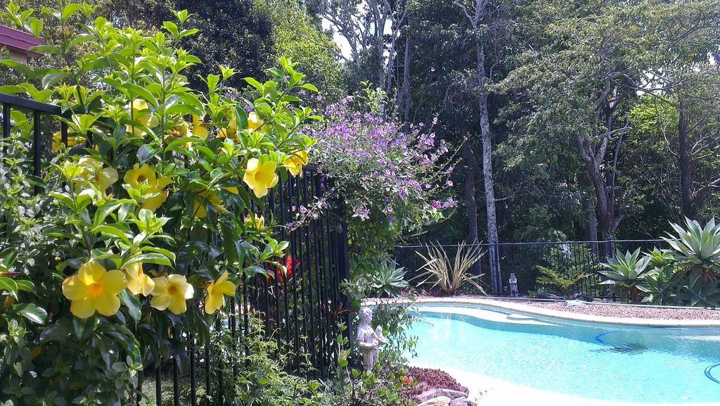 בית הארחה קינגסקליף 	Tropical Coast Retreat - Pet Friendly - Adult Only מראה חיצוני תמונה