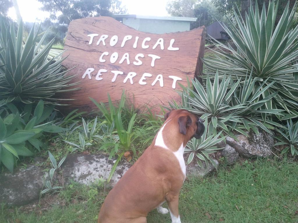 בית הארחה קינגסקליף 	Tropical Coast Retreat - Pet Friendly - Adult Only מראה חיצוני תמונה